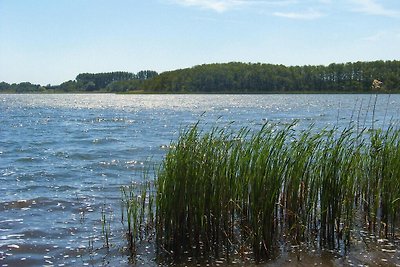 Doppelhaushälfte, Plau am See-ehem. TUI