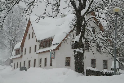 Wohnung in der Nähe von Skipisten