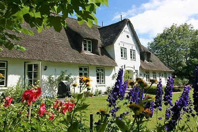 Ferienwohnung mit 2 Schlafzimmer