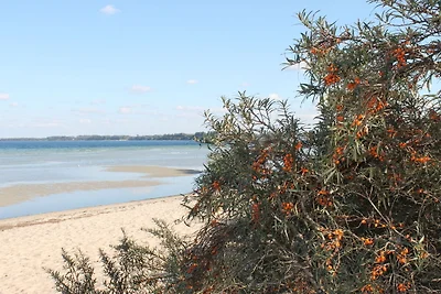 Bungalow a Damshagen vicino al Mar Baltico