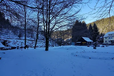 Wohnung in Wildemann nahe Harzwald