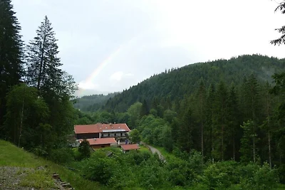 Hennererhof - Engelwurz