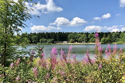 Vakantiehuis in Clausthal-Zellerfeld met...