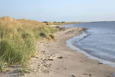6 persoons vakantie huis in Hals-By Traum