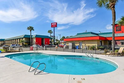 Cama King Premium | Lake Park, GA