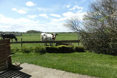 Struve 2 auf dem Kastanienhof