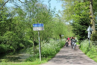 Gemütliches Ferienhaus in Heiloo mit Terrasse