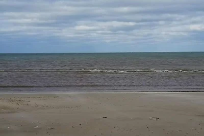 Felicita' fronte mare a Saltum -- By Traum...