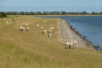 Ferienwohnung in Orth auf Fehmarn