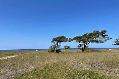 4 stelle case ad VISBY