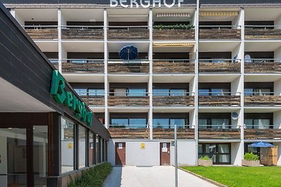 Komfortable Wohnung in Ellmau mit Balkone