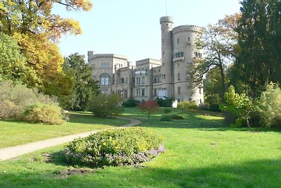 Lichtung im Parkchâlet