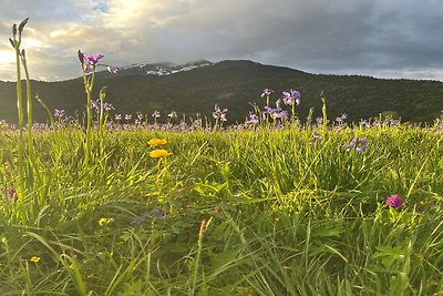 Üppige Ferienwohnung in Tirol mit Sauna