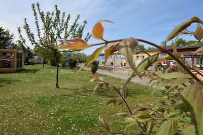 Charmante Ferienwohnung mit Garten in Wiek