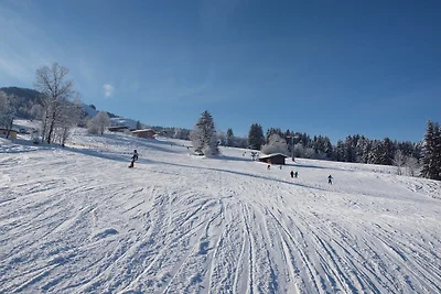 Chalet in Tyrol on St. Johanns Ski Slope