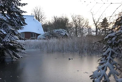 Landhaustraum unter Reet