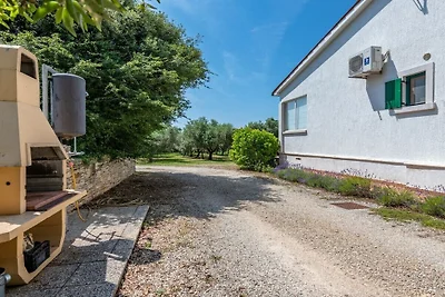 Villa Olive Ranch
