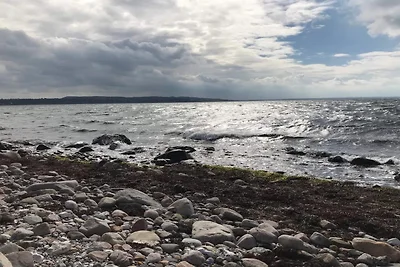 6 persone case ad Fårevejle