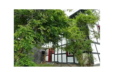 Noah -Seeleben auf Zeit