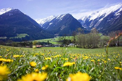 Wohnung in Neukirchen mit einem Balkon