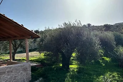 Case su una collina circondata da ulivi