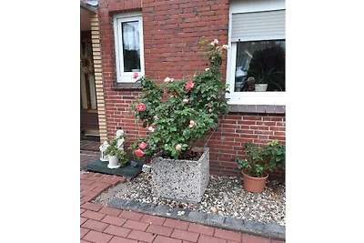 Vakantieappartement met 1 slaapkamer