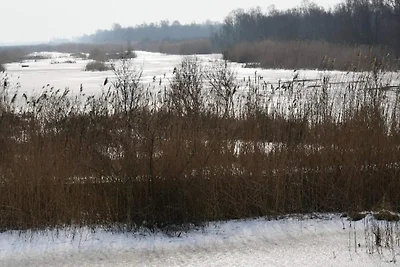 5 stelle case ad Pandrup