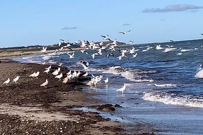 14 Personen Ferienhaus in Løkken