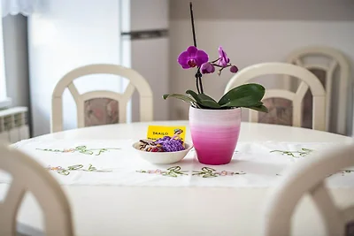Mountain View Haven Apartments - One Bedroom ...
