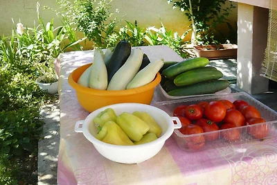 Wohnung in Privlaka nahe Traumstränden