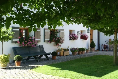 Vakantieappartement met 1 slaapkamer
