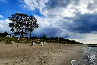 Mit Blick auf den Bodden
