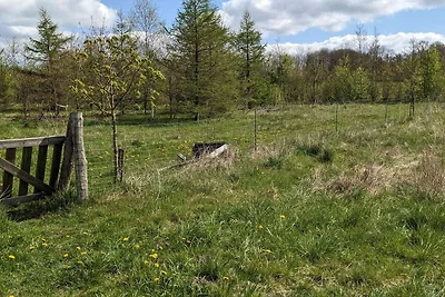 6 Persone case ad Give-By Traum