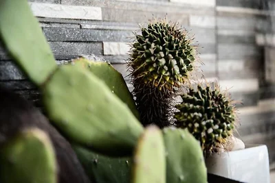 Appartements für 2 Personen