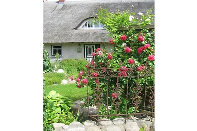 Zum Reetdachhaus am Haff " Möwennest"