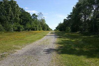 6 persone case ad Hadsund-By Traum