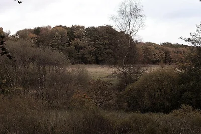 4 Sterne Ferienhaus in Hovborg-By Traum