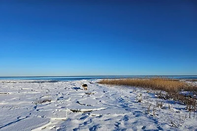 4 sterren vakantie huis in Ørsted-By Traum