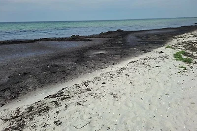 Familienparadies in Kramnitze -- By Traum...