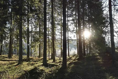 5 Personen Ferienhaus in Knutby