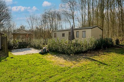 Schönes Chalet in Appelscha mit Garten