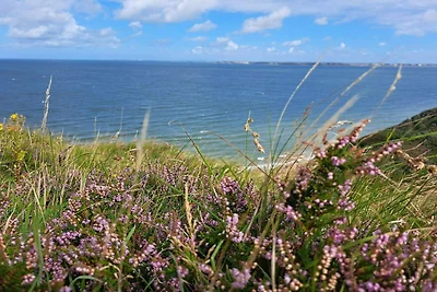 4 Personen Ferienhaus in Struer