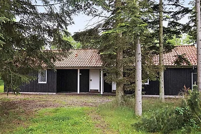 12 persoons vakantie huis in Hals-By Traum