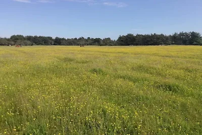 6 Personen Ferienhaus in Skagen-By Traum