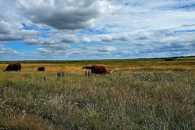 8 Personen Ferienhaus in Skjern-By Traum