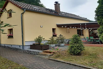 Tolles Ferienhaus mit Terrasse bei Saxon