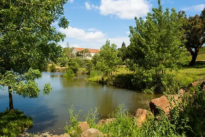 Villa di campagna a Montemor-o-Novo con...