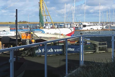 Promenadenwohnung mit direkter Seesicht