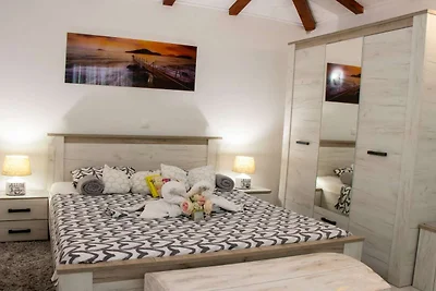 Authentic Dalmatian Treasure Homes - House...