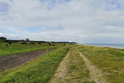 8 Personen Ferienhaus in Nordborg-By Traum